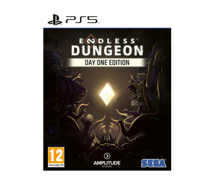 Gra PS5 Endless Dungeon Day One Edition PS5